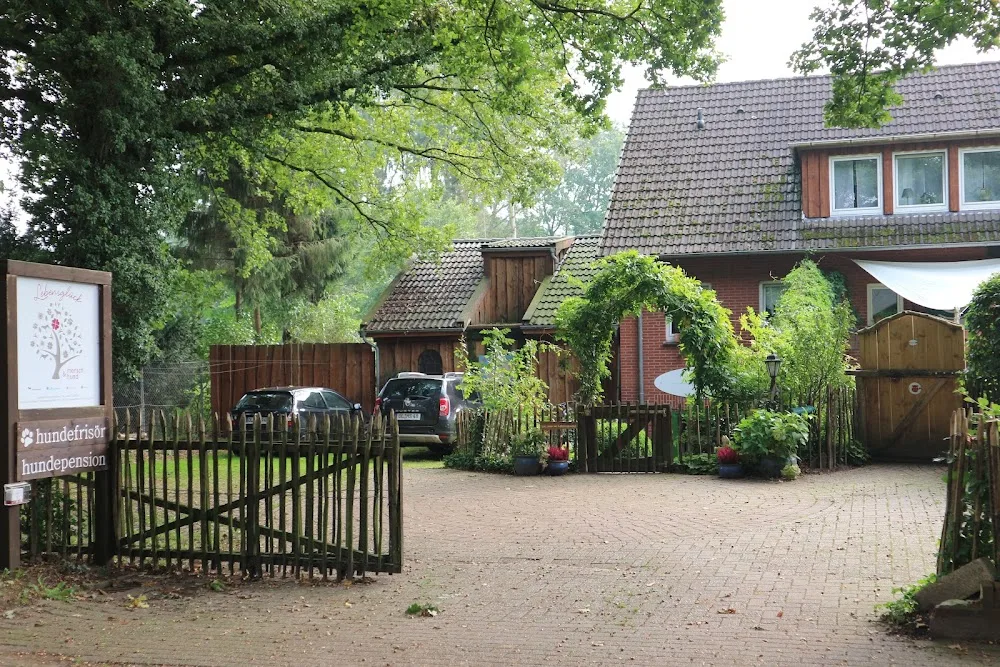 Hundepension Oldenburg - Berne pet otel görseli 2