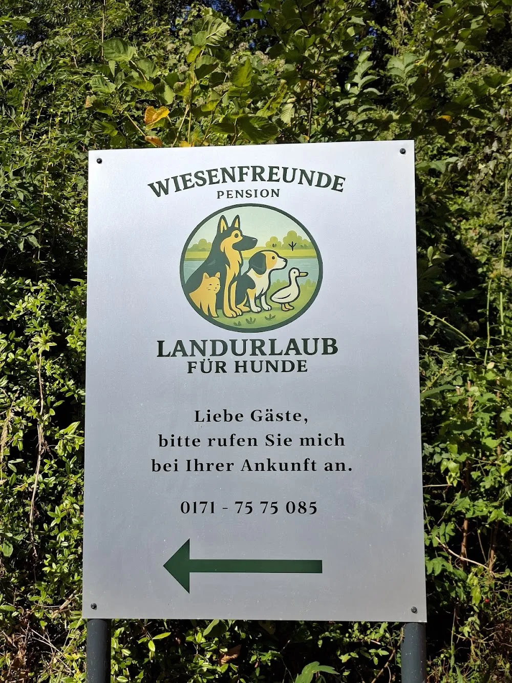 Hundepension Wiesenfreunde - Berne pet otel görseli 2