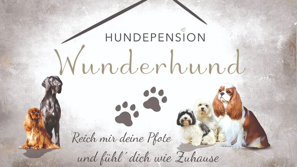 Hundepension Wunderhund - Berne pet otel