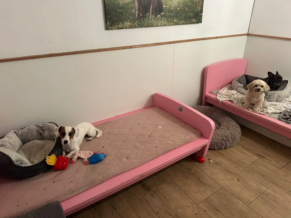 Hundepension Wunderhund - Berne pet otel görseli 3