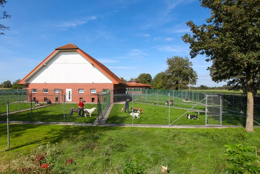 Hundeschule, Hundepension u. Katzenpension FIRST CLASS am Kiekutsee - Berne pet otel görseli 2
