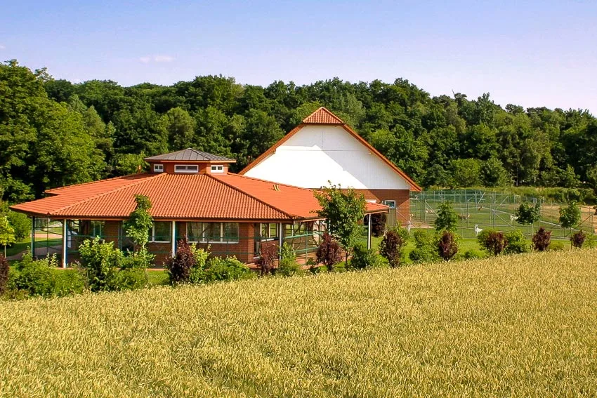 Hundeschule, Hundepension u. Katzenpension FIRST CLASS am Kiekutsee - Berne pet otel görseli 3