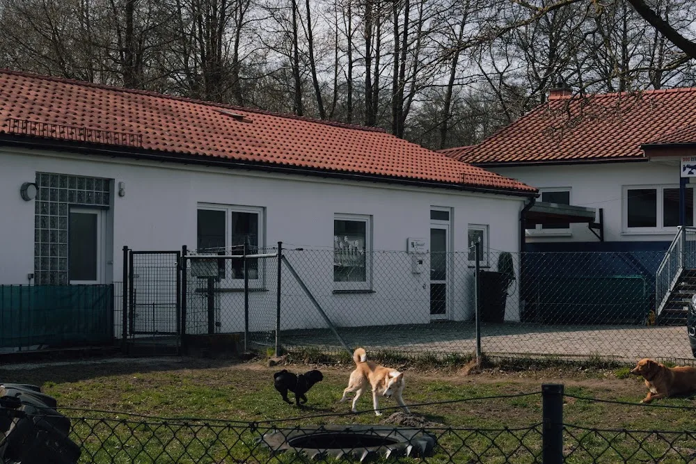 Hundetagesstätte Dogrockers Bremen - Berne pet otel