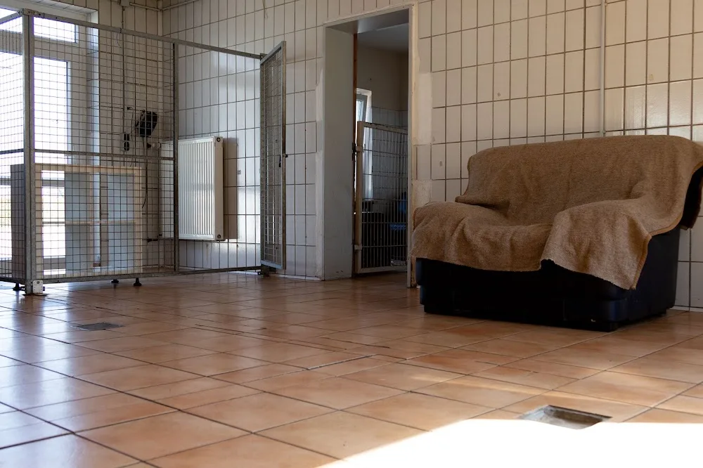Hundetagesstätte Dogrockers Bremen - Berne pet otel görseli 3
