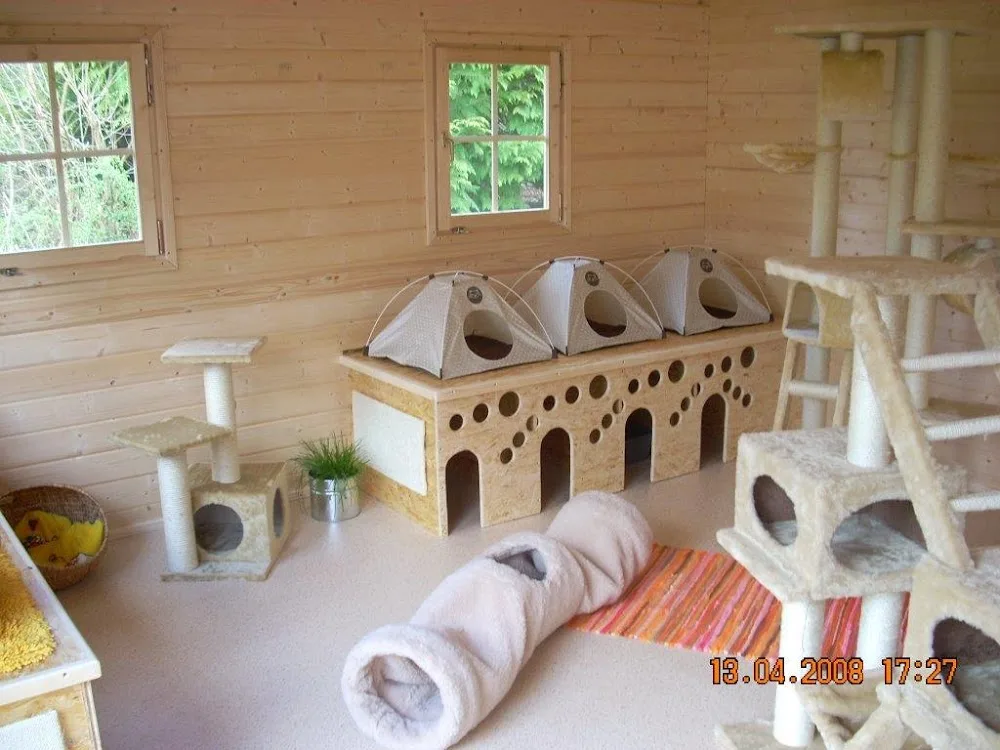Katzenpension-Bergner - Berne pet otel görseli 2