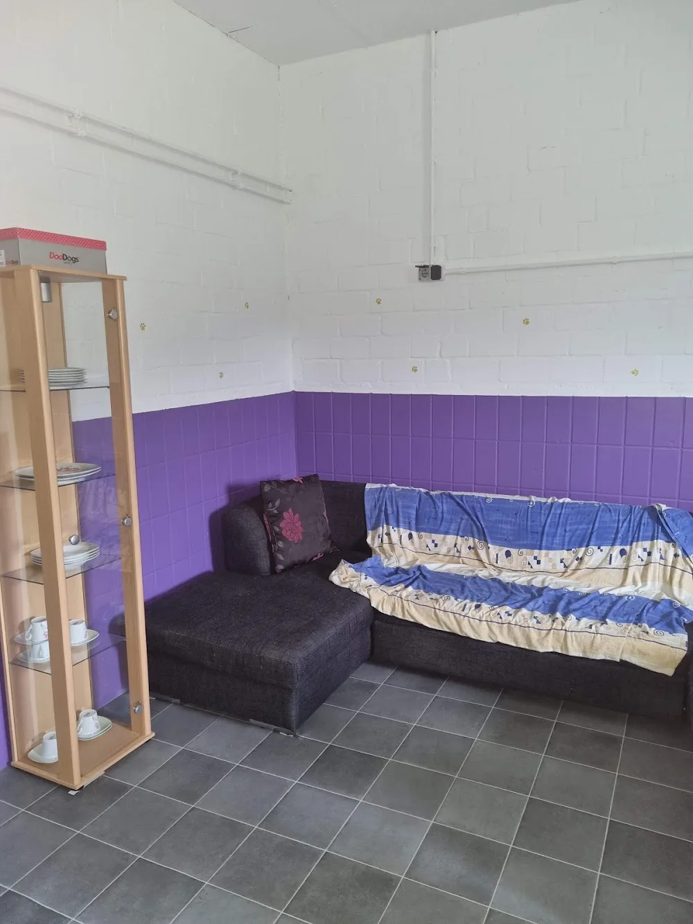 Kerstin's Katzenpension - Berne pet otel görseli 2