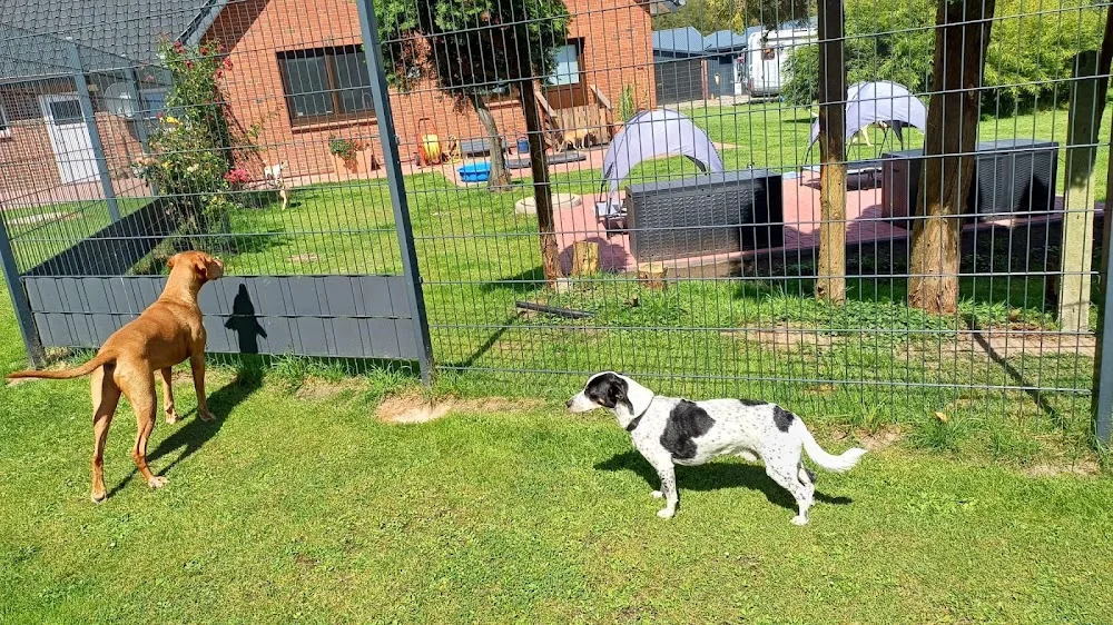 LUCKY DOG HOSTEL (Gemeinnütziger Tierschutzverein / Hundepension) - Berne pet otel görseli 3