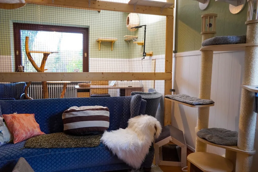 Mr. Jingles' Katzenstube - Berne pet otel