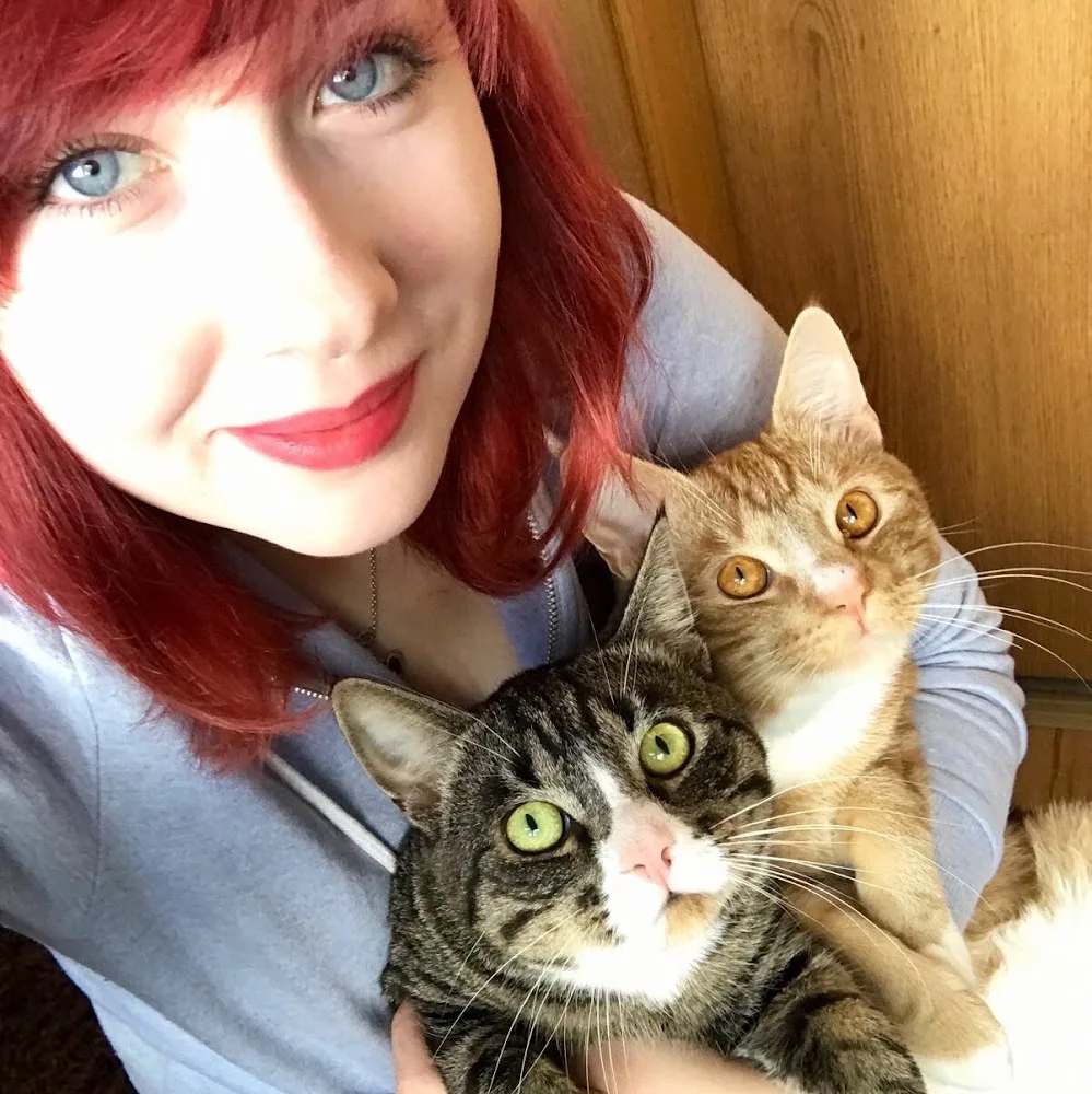 Mr. Jingles' Katzenstube - Berne pet otel görseli 5