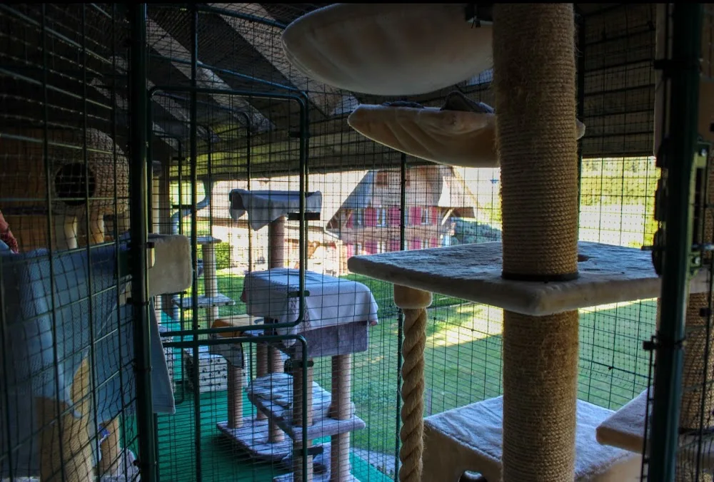 Nerotel Katzenpension - Berne pet otel görseli 3