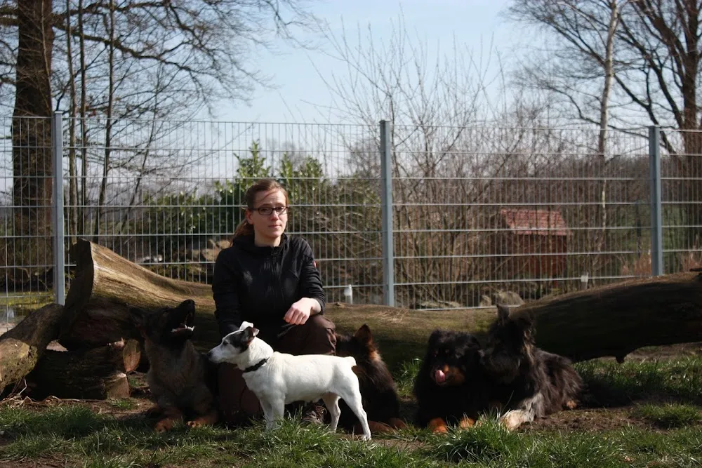 Rudelkonzept - Hundetagesstätte & Hundepension - Berne pet otel görseli 2