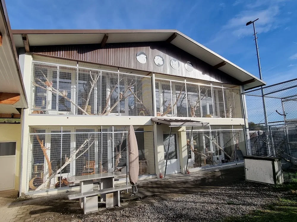 Tier-Resort Schachen AG - Berne pet otel görseli 2