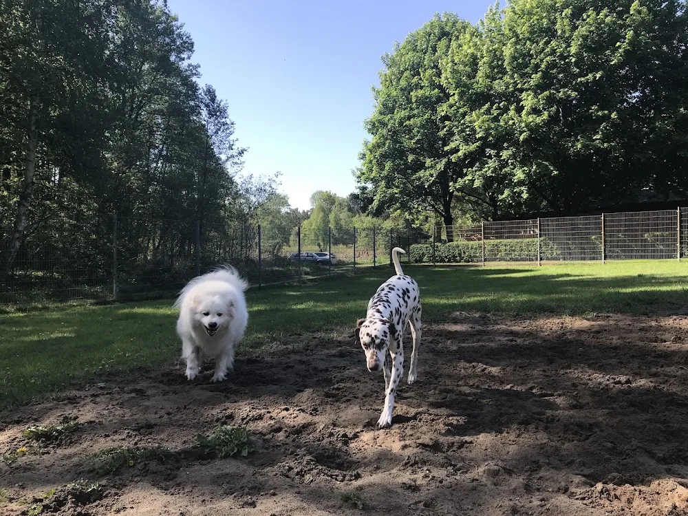 Tierpension im Wald GmbH - Berne pet otel görseli 3