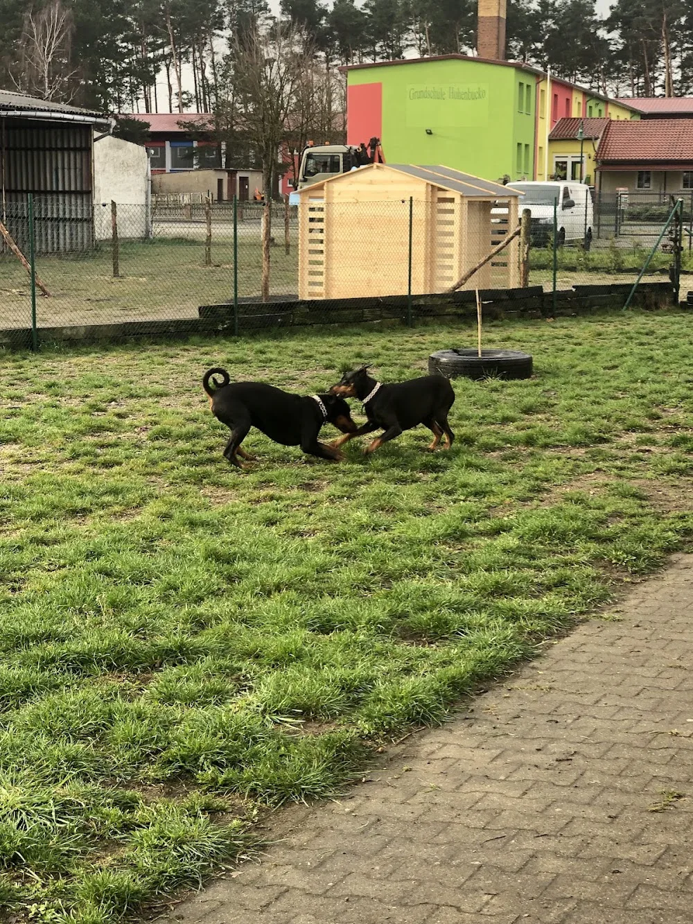 Tierpension Weltenbummler - Berne pet otel görseli 3