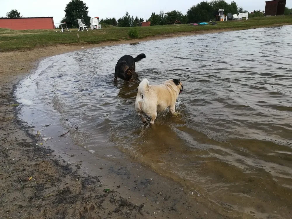 Ute Mahlstedt Tierpension u. Hundeschule - Berne pet otel
