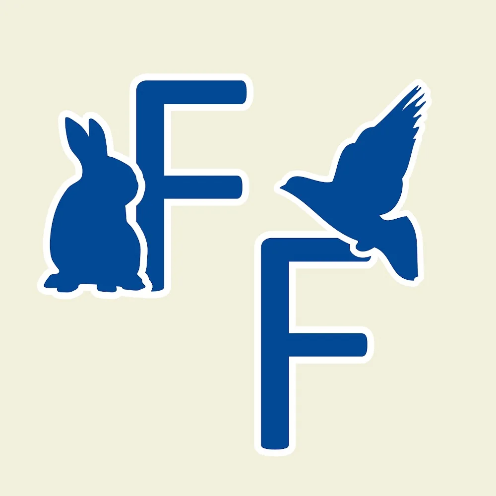 Fur and Feathers - Beverwijk pet otel görseli 3