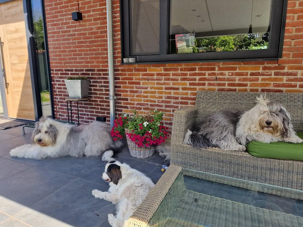 Kennel fromHappyBobbersRanch - Beverwijk pet otel