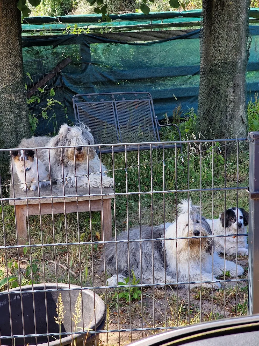 Kennel fromHappyBobbersRanch - Beverwijk pet otel görseli 3
