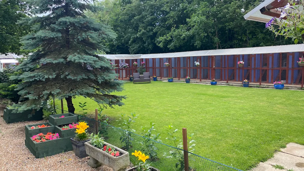 Battle Oaks Boarding Cattery - Bexhill-on-Sea pet otel görseli 2