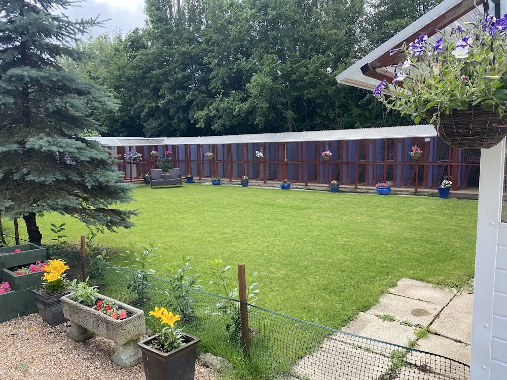 Battle Oaks Boarding Cattery - Bexhill-on-Sea pet otel görseli 3