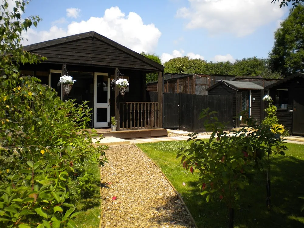 Halls Cross Cattery Five Star Rated - Bexhill-on-Sea pet otel