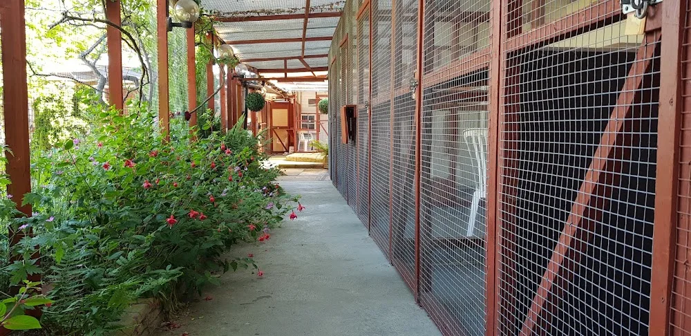 Southwinds Cattery - Bexhill-on-Sea pet otel