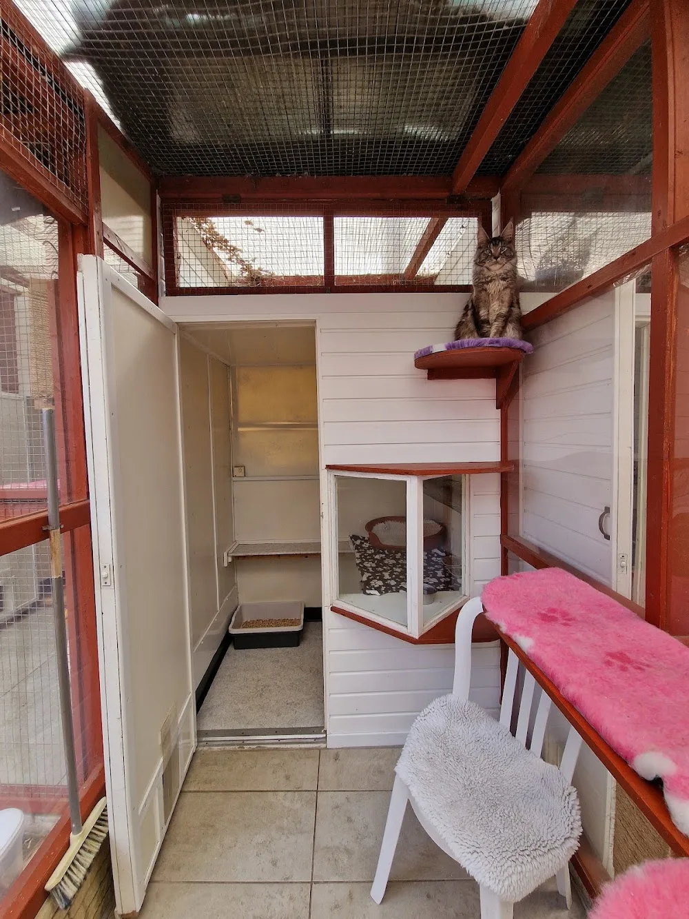 Southwinds Cattery - Bexhill-on-Sea pet otel görseli 3