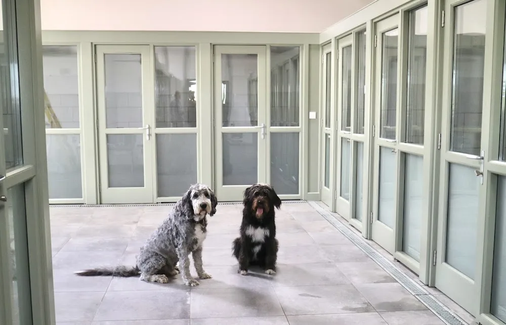 Woodlands Farm Dog Boarding - Bexhill-on-Sea pet otel görseli 3