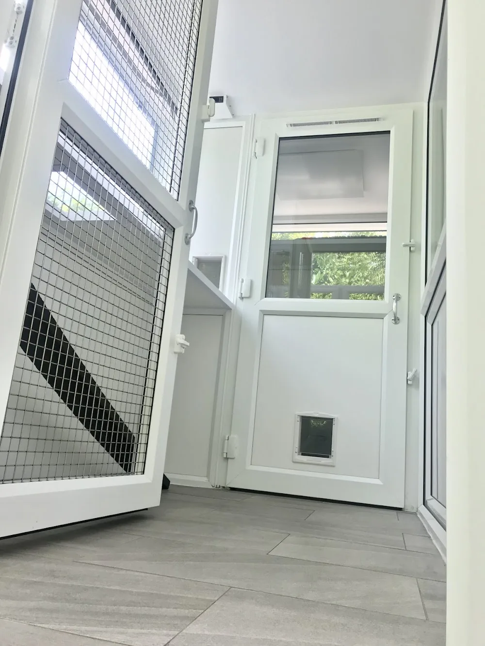 Meow Manor Cattery - Bexley pet otel görseli 3