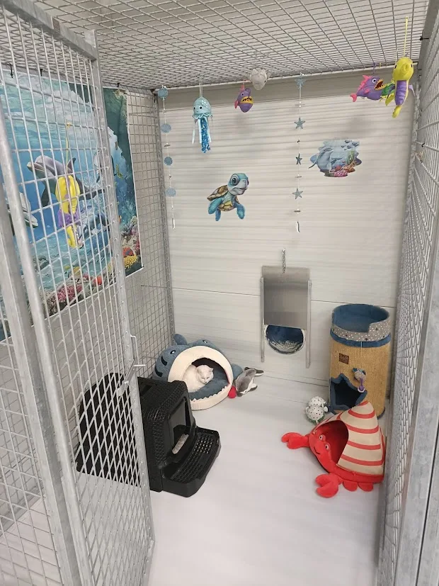 Kattenpension de Ellerhoeve - Biddinghuizen pet otel
