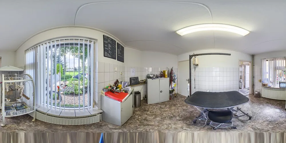 Klein Mezenberg Dierenpension - Biddinghuizen pet otel görseli 3