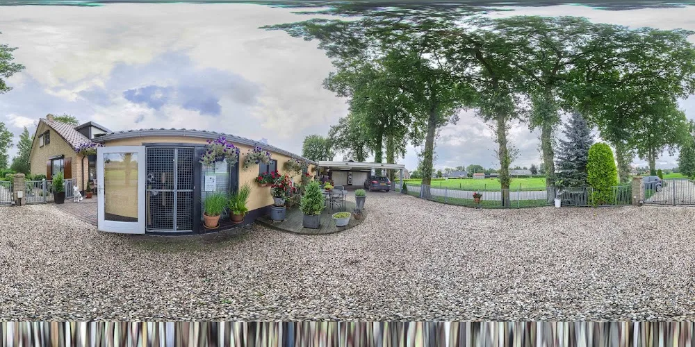Klein Mezenberg Dierenpension - Biddinghuizen pet otel görseli 4