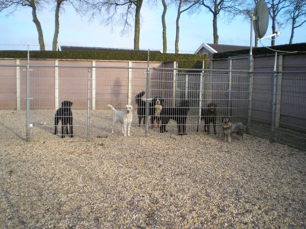 Klein Mezenberg Dierenpension - Biddinghuizen pet otel görseli 5