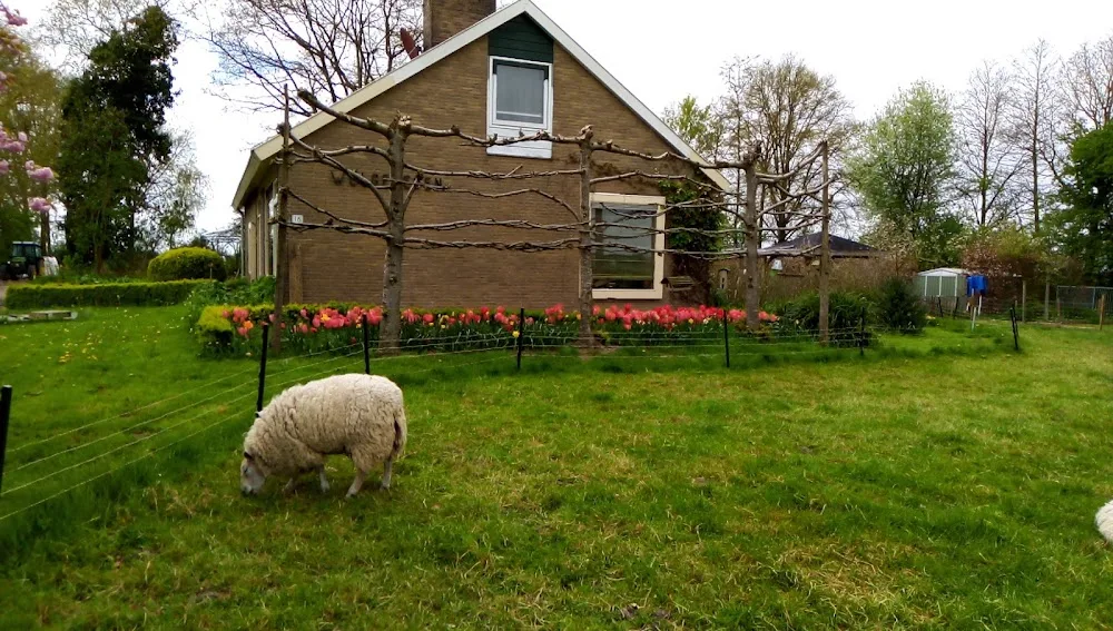 Welgelegen - Biddinghuizen pet otel