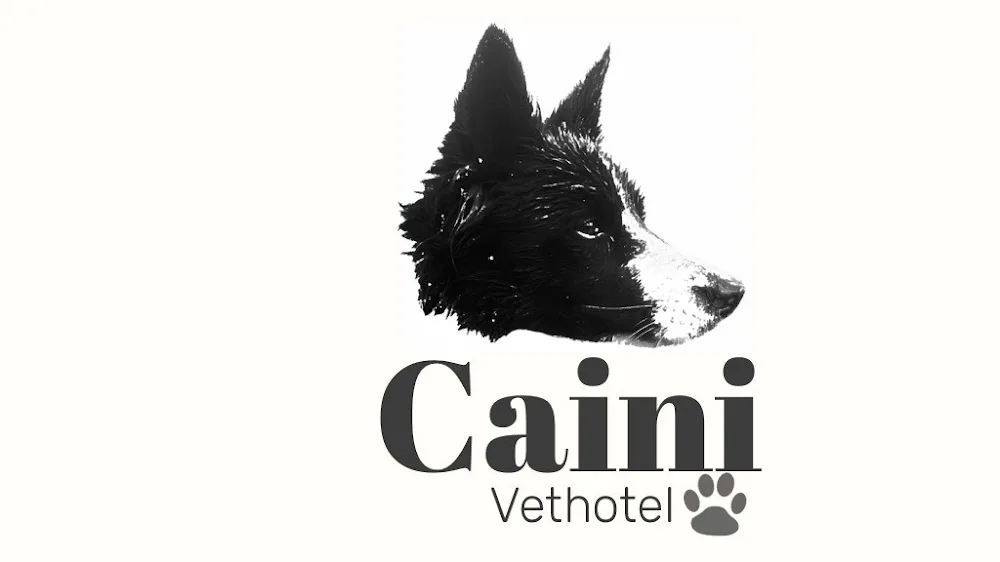 Cainivethotel canisa pensiunea caini in Tomnatic Bihor - Bihor pet otel
