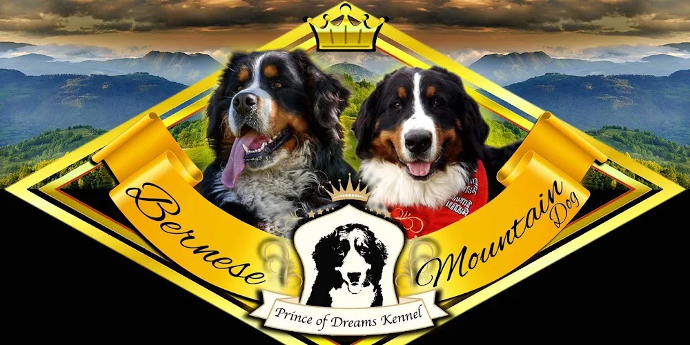 Prince of Dreams Kennel - Bihor pet otel