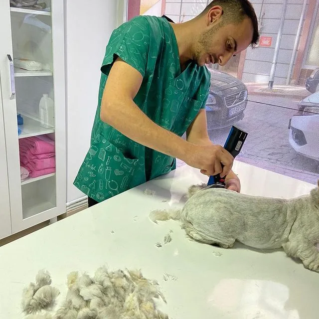 Pet House Veteriner Kliniği - Bilecik pet otel görseli 3