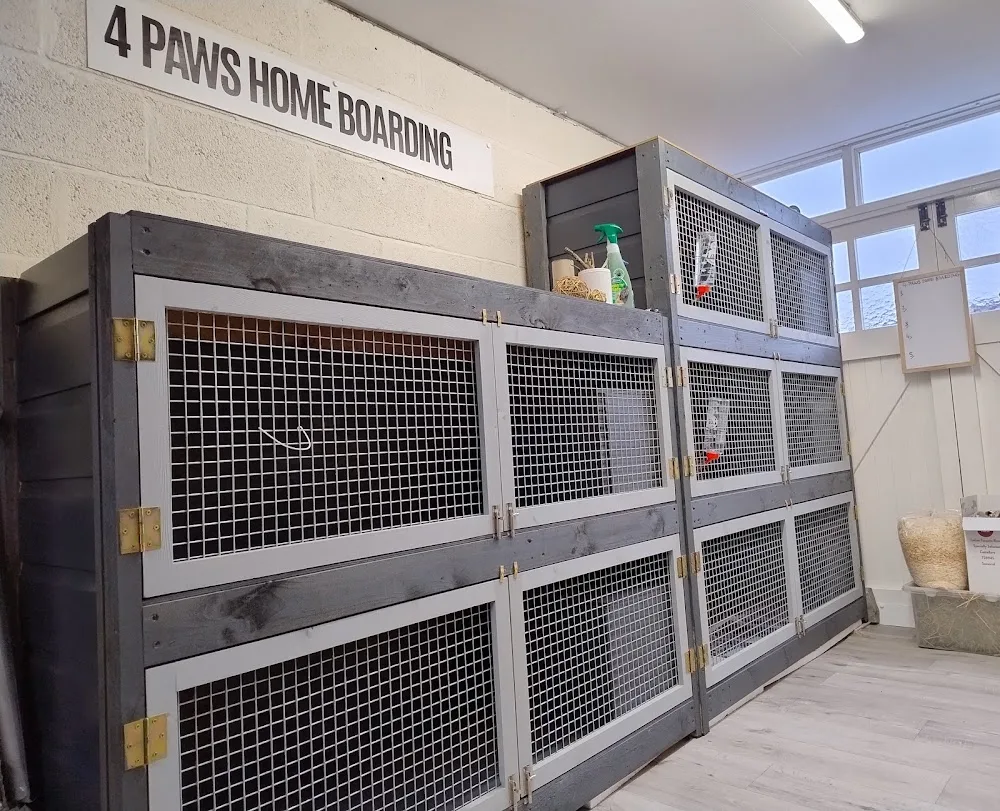 4 Paws home boarding, small animal boarding - Birmingham pet otel
