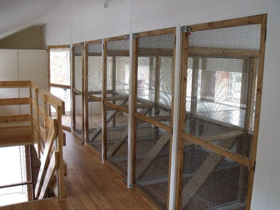 Aristocats Luxury Cattery - Birmingham pet otel