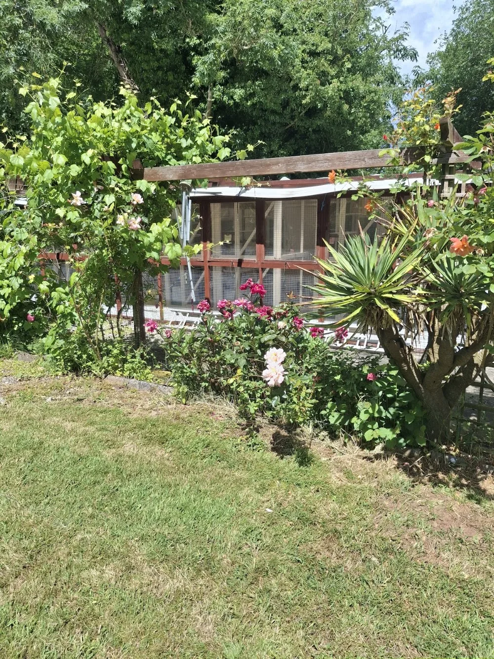 Barnt Green Boarding Cattery - Birmingham pet otel