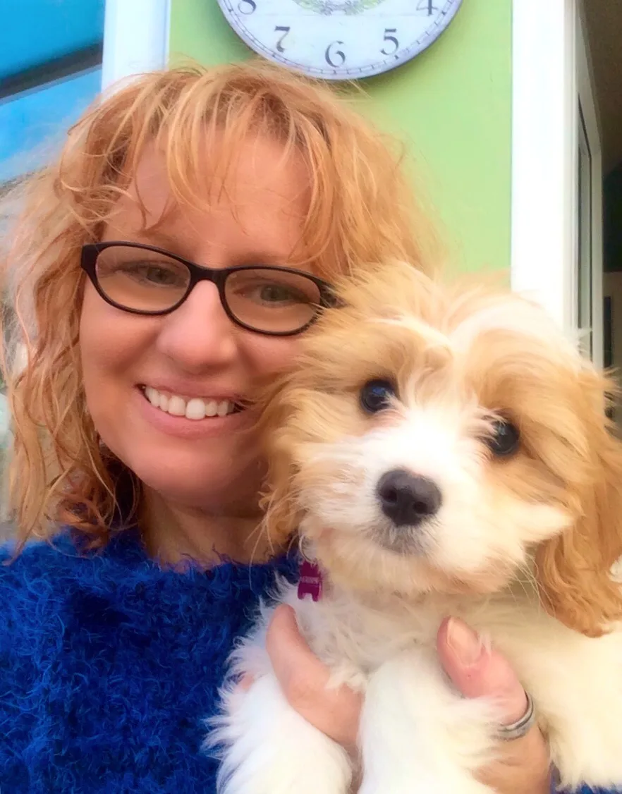 Doggy B&B with Natalie - Birmingham pet otel