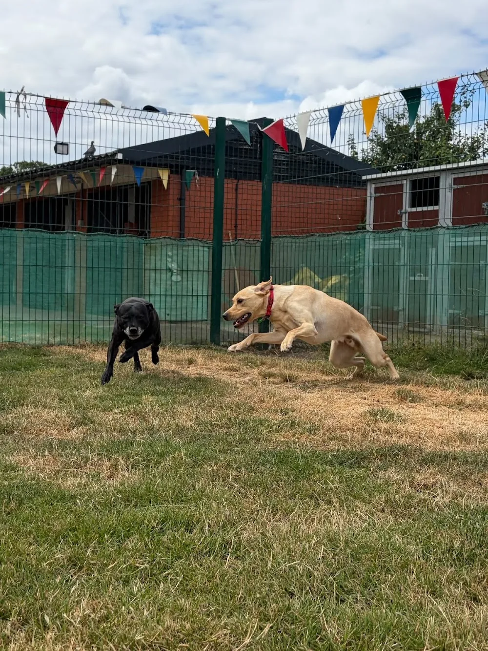 Fetch Retreats - Birmingham pet otel görseli 2
