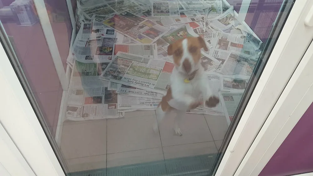 Hollytrees Boarding Kennels & Cattery - Birmingham pet otel görseli 3