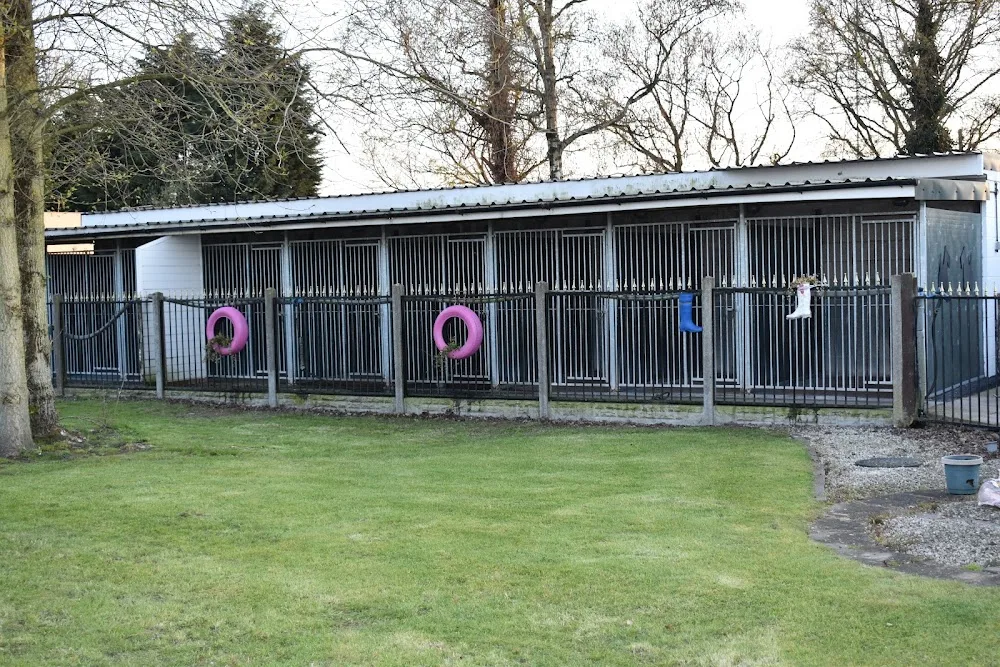 Nine Stones Boarding Kennels - Birmingham pet otel görseli 2