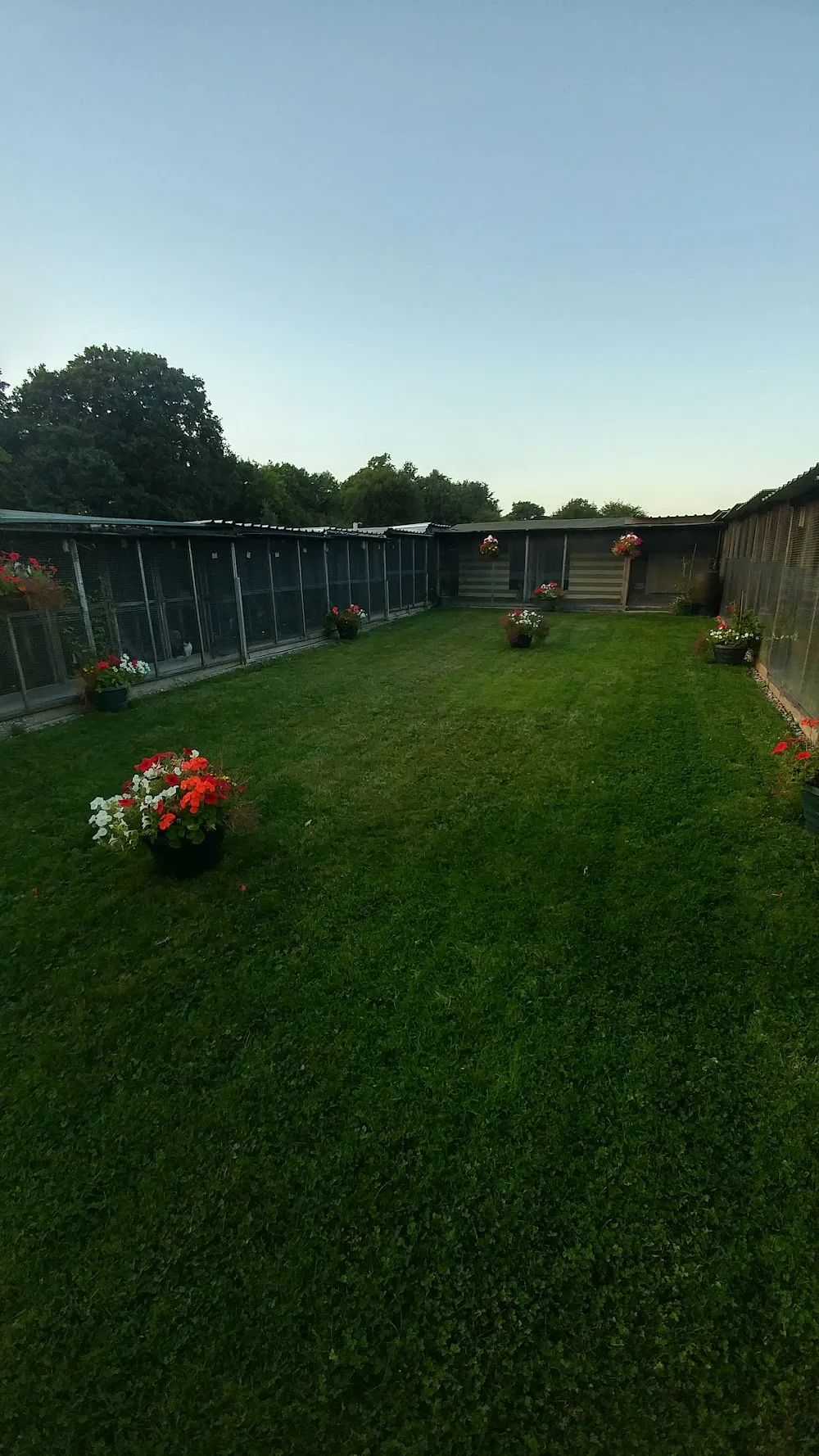 Parkway Kennels & Cattery - Birmingham pet otel görseli 3