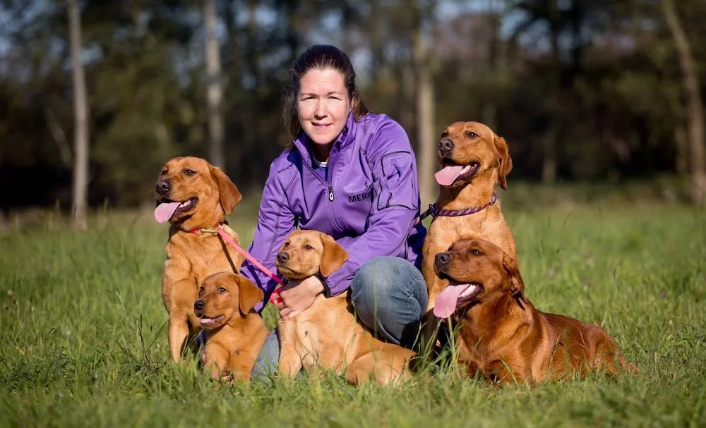 Fifficats Hunde und Katzenpension + Hundefriseur - Bissendorf pet otel görseli 6