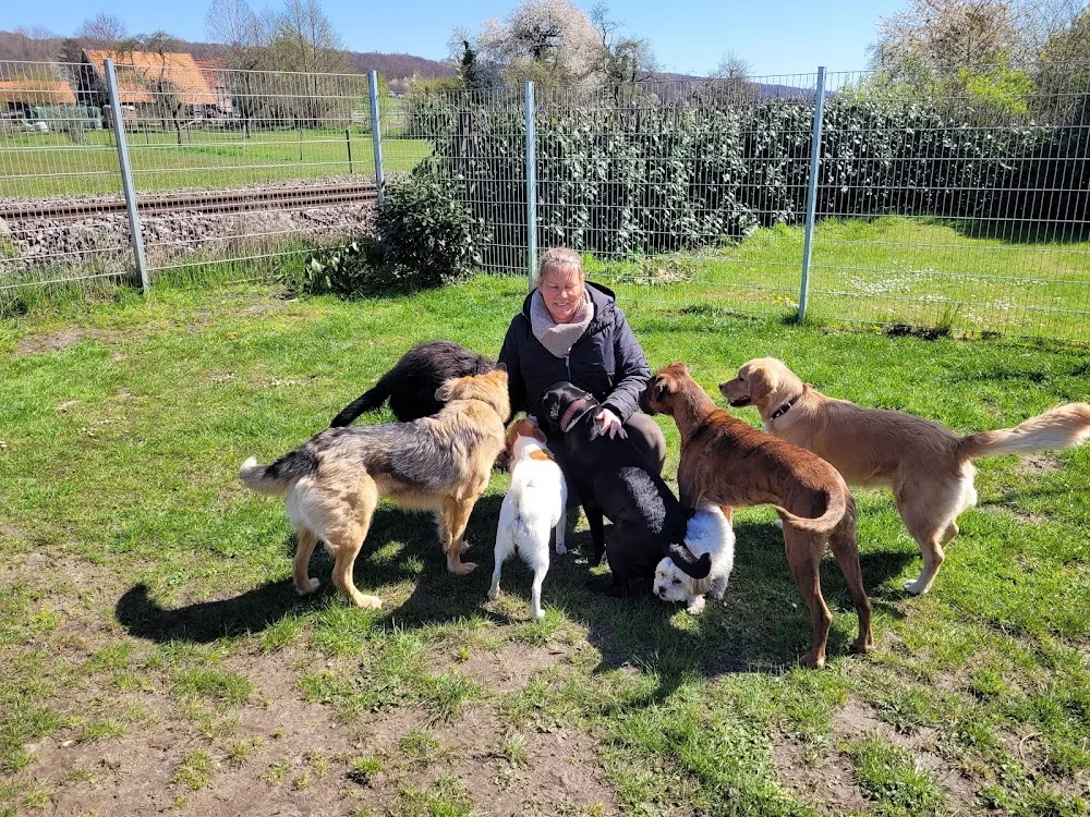 "Hu-Ta", Hundetagesstätte - Bissendorf pet otel