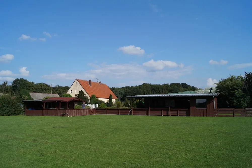Hundepension & Hundeschule Asmann - Bissendorf pet otel görseli 7