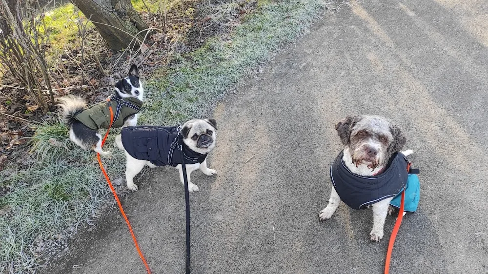 HUNDSINN - Betreuung, Ernährung und mehr - Bissendorf pet otel görseli 3
