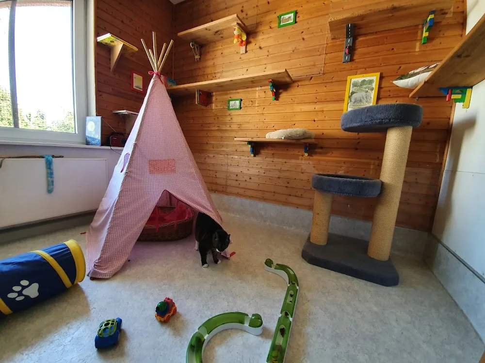Katzenhotel Seelhorst - Bissendorf pet otel görseli 10
